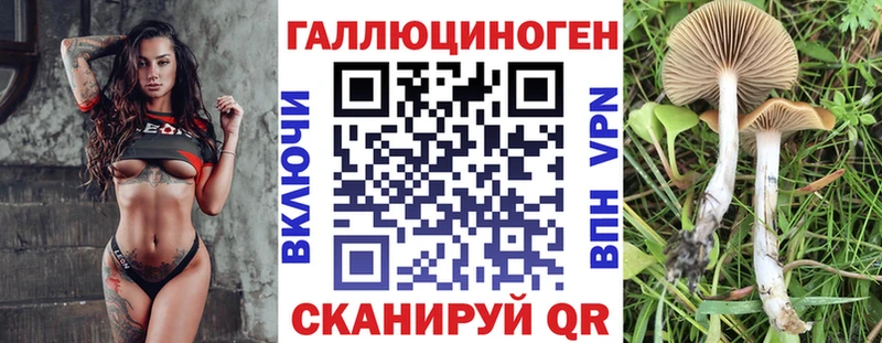 Псилоцибиновые грибы Psilocybine cubensis  где купить   Иноземцево 